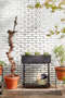Mica Decorations Greenrax - Plantenstandaard - L70 x B29 x H94 cm - Metaal - Zwart