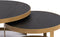 Stalux Salontafelset - Set Saar - Duurzaam ontwerp - Eenvoudige montage - Modern design - Zwart Eikenhout - 80 cm