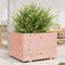 vidaXL - Plantenbak - 70x70x49,5 - cm - massief - douglashout