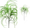 PTMD Leaves Plant Gras Kunsttak - 48 x 38 x 87 cm - Groen