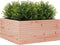vidaXL - Plantenbak - 100x100x46 - cm - massief - douglashout