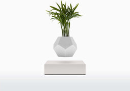 LYFE Planter - Zwevende plant - Wit