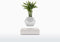 LYFE Planter - Zwevende plant - Wit