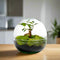 Terrarium | Bolvormig | Glas | Bonsai plant | ↑18cm -Ø17cm