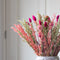 Plant in a Box - Boeket 'Loose Fit Lady Bird' - Droogbloemen - hoogte 50cm
