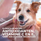 Hill's Canine Mature Adult Medium - Hondenvoer - Lam Rijst 2.5 kg