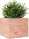 vidaXL - Plantenbak - 80x80x68,5 - cm - massief - douglashout