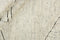Landscape Fields Naturel 1031 Vloerkleed - 200x300 - Rechthoek - Laagpolig Tapijt - Modern - Beige, Wit