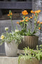 Mica Decorations Lungo Bloempot - H36 x Ø30 cm - Lichtgewicht - Off White