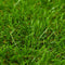 vidaXL - Kunstgras - 1x5 - m/30 - mm - groen