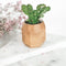 Oakywood Geometric Plant Pot - Massief Eiken - Luxe Houten Kleine Plantenpot Bureauaccessoire
