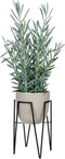 Mica Decorations Blom Plantenstandaard - L30 x B30 x H50 cm - Metaal - Zwart
