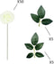 Kunstbloemen - 50 Stuks - Eco-Friendly - Rozen voor Decoratie