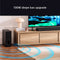 Sony Bravia Theatre Sub 7 - Draadloze subwoofer 100W - Zwart