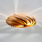 GOFURNIT Ceiling light 'Veneria' from amber tree