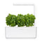 Click and Grow Dwarf Basil Plant Pods