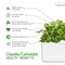Click and Grow Cilantro/Coriander Plant Pods