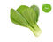 Click and Grow Pak Choi 9-pack