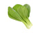Click and Grow Pak Choi 9-pack