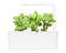 Click and Grow Bloody Sorrel Refill