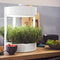 Verdeat S Hydroponic Indoor System