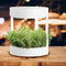 Verdeat S Hydroponic Indoor System