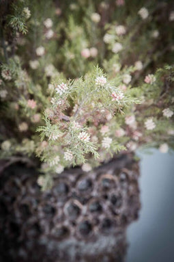 PTMD Garden Flower Mini Juniperus Artificial Branch - 37 x 17 x 64 cm - Green
