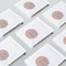 Compostable Refills (12x)