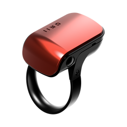 Voice Assistance Ring