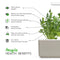 Click and Grow Arugula Plant Pods