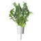 Click and Grow Arugula Plant Pods