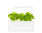 Click and Grow Basil Plant Pods