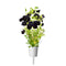 Click and Grow Black Pansy Plant Pods