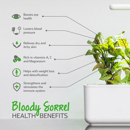 Click and Grow Bloody Sorrel Plant Pods