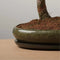 The Bonsaïst Bonsai of Shoganai
