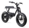 Buzzraw X750