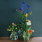 House of Thol Lepus / Flower Constellation L