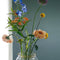 House of Thol Ophiuchus / Flower Constellation XL