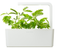Click and Grow Mimosa Refill