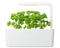 Click and Grow Curly Parsley Refill