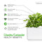 Click and Grow Cilantro/Coriander Plant Pods