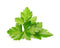 Click and Grow Cilantro/Coriander Plant Pods