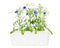 Click and Grow Cornflower Plant Pods