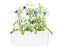 Click and Grow Cornflower Refill