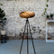 GOFURNIT Floor lamp 'Veneria' from amber tree