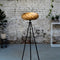 GOFURNIT Floor lamp 'Veneria' from olive ash