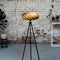 GOFURNIT Floor lamp 'Veneria' from oak wood