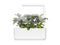 Click and Grow Dusty Miller Plant Pods