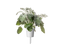 Click and Grow Dusty Miller Plant Pods