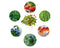 Click and Grow Experimental Refill